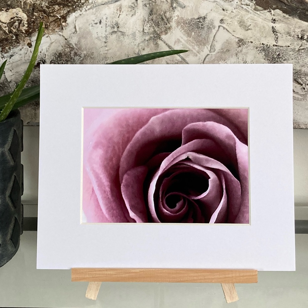 ❌SOLD❌BELLA DONNA” ~ ORIGINAL ART by ~ @lisamichellebeckerphotography - Picture 2 of 14